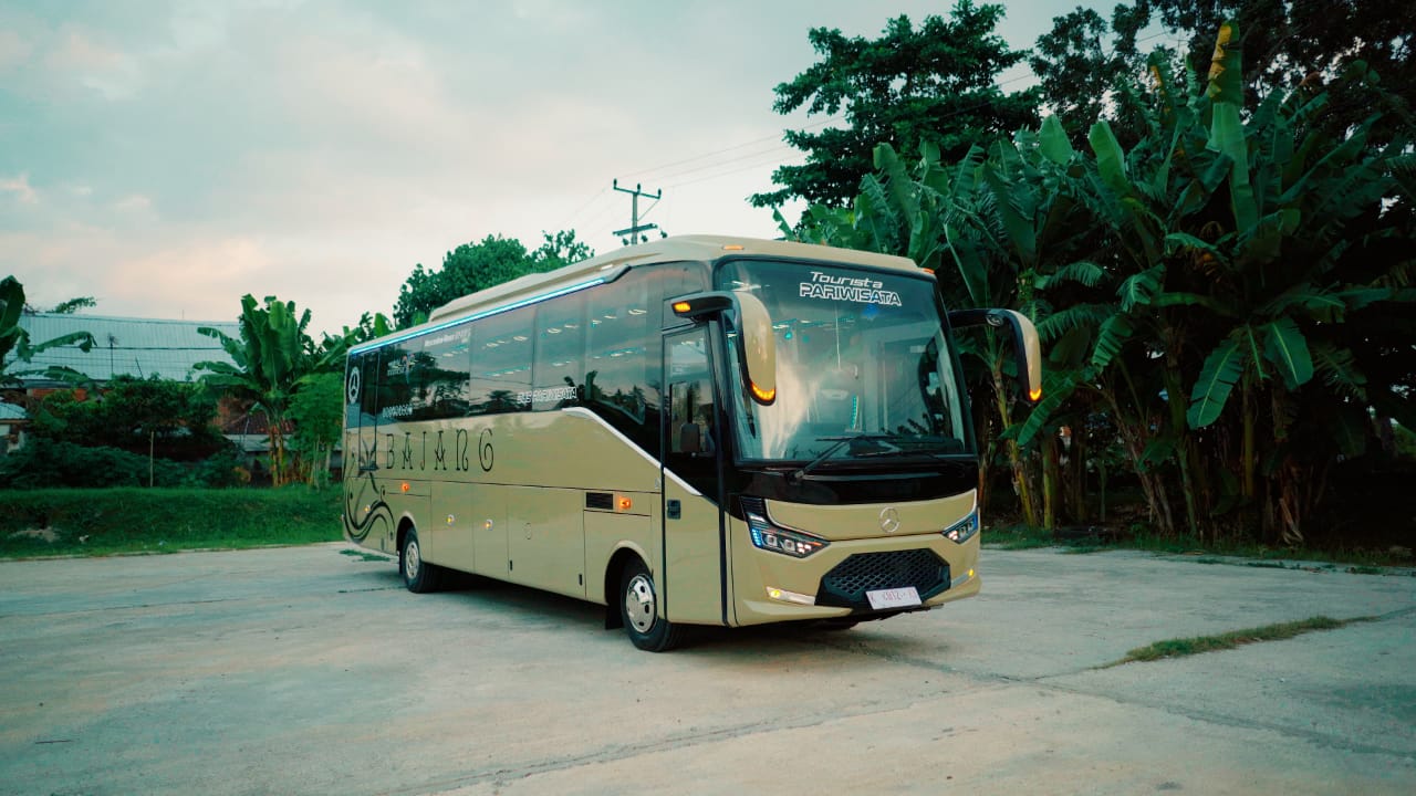 Bus Pariwisata Medium